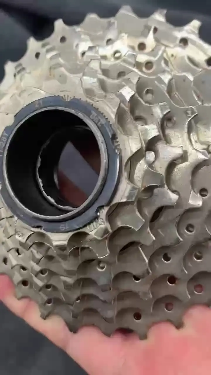 マジックフルーツ ２８ｔ Amazon.co.jp: DNP 7 Speed Screw-on Freewheel Nickel Plate 11