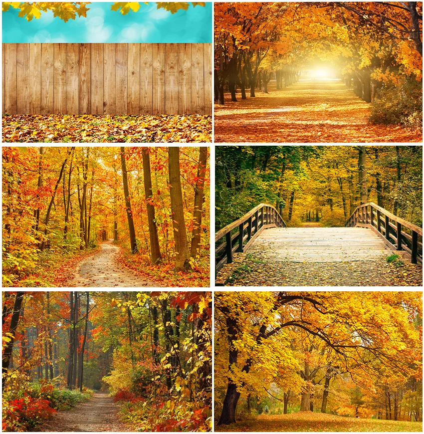 

Фон для студийной фотосъемки с изображением леса опавшей листьев семейных звёзд деревьев природного пейзажа неба осени