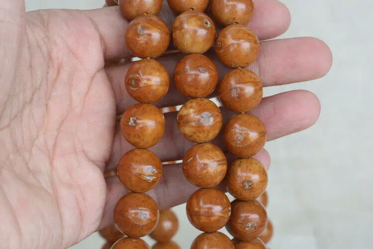 Tibetan Buddhism 108 Polishing Phoenix Eyes Bodhi Seeds Mala Necklace