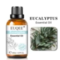 Eucalyptus