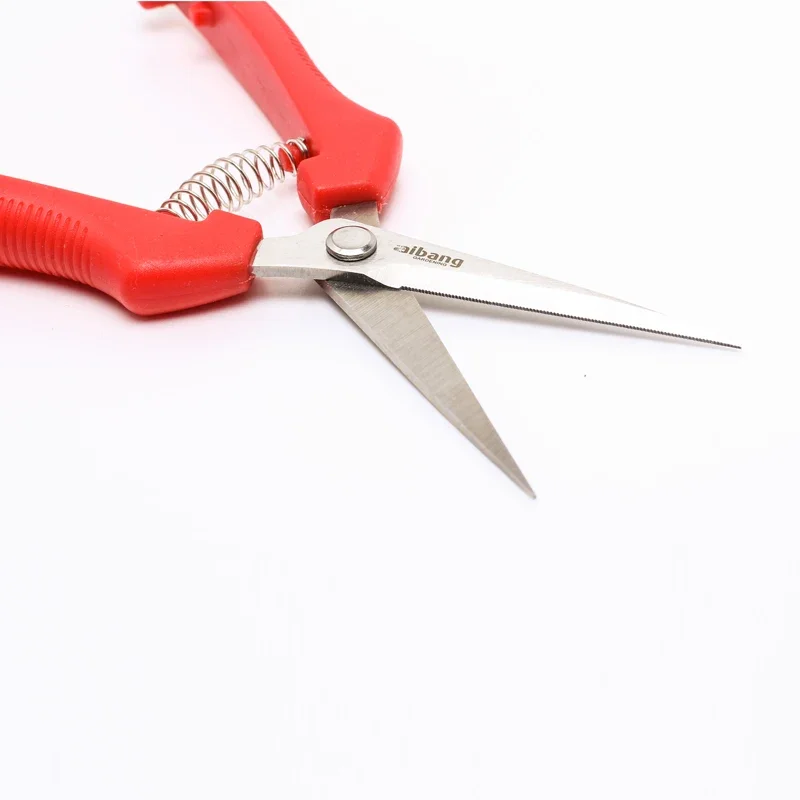 Sharp Stainless Steel Pruning Shears 6