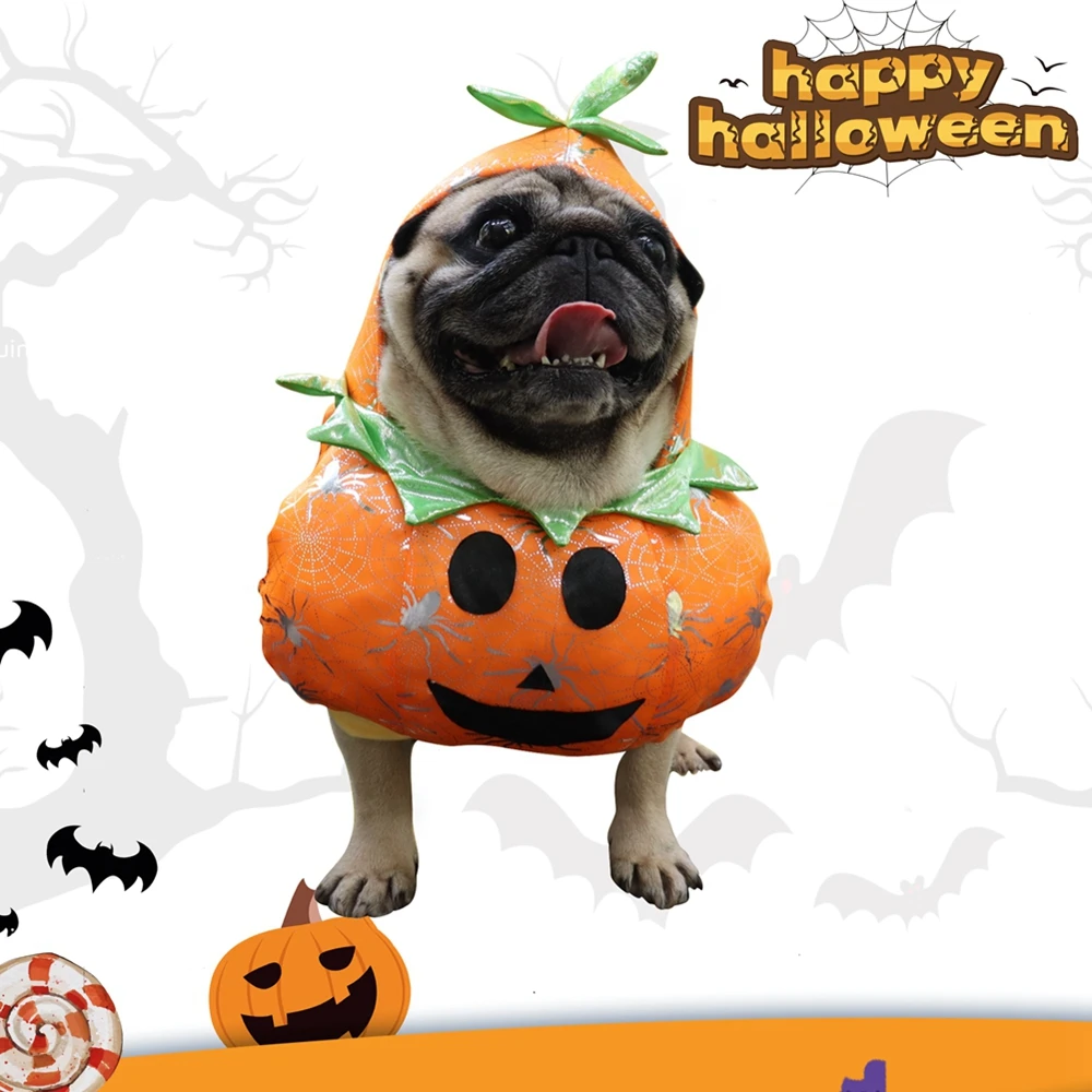 Funny Dog Pumpkin Costume 2