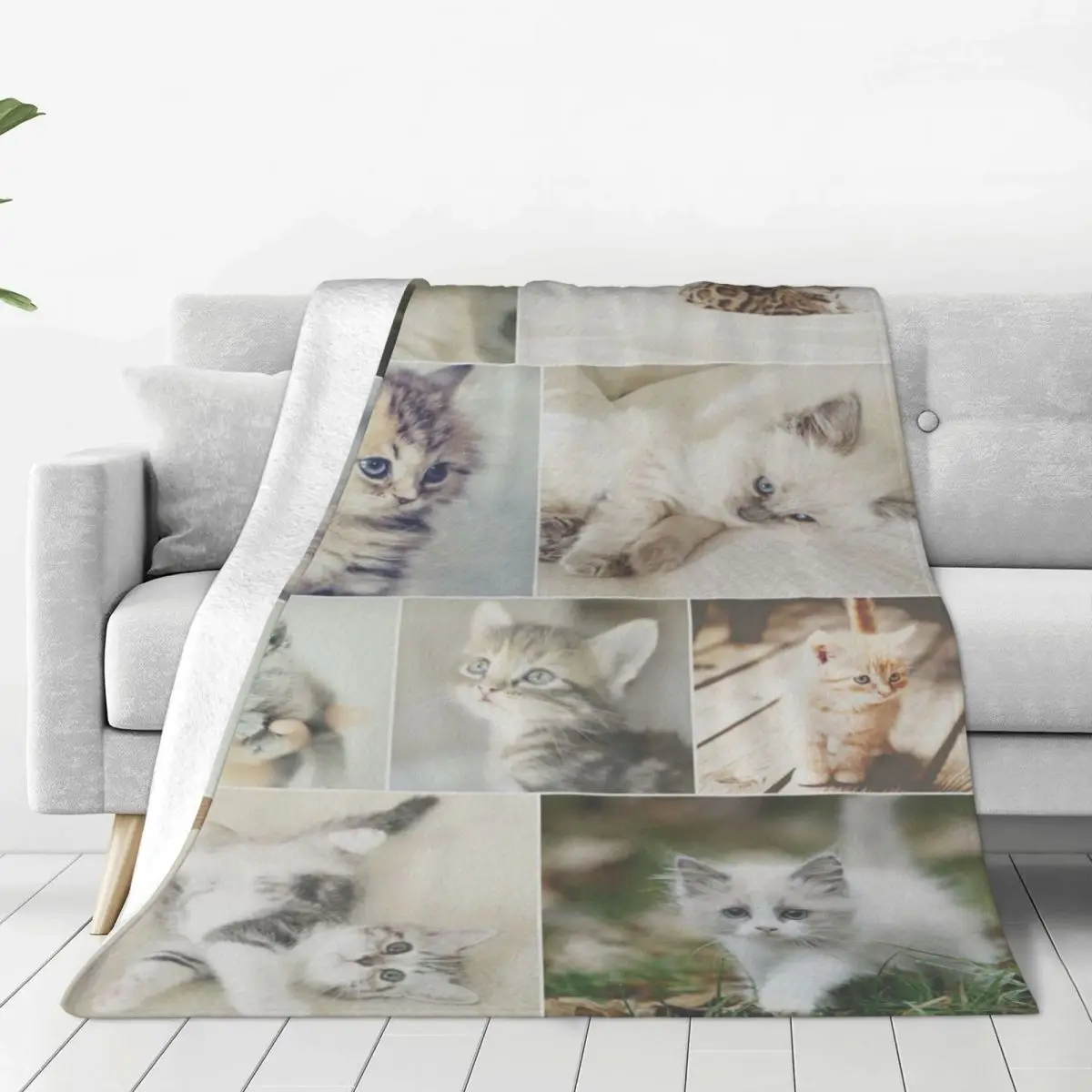 

Cat Lover Animal Pet Blankets Fleece Decoration Breathable Warm Throw Blanket for Sofa Bedroom Quilt