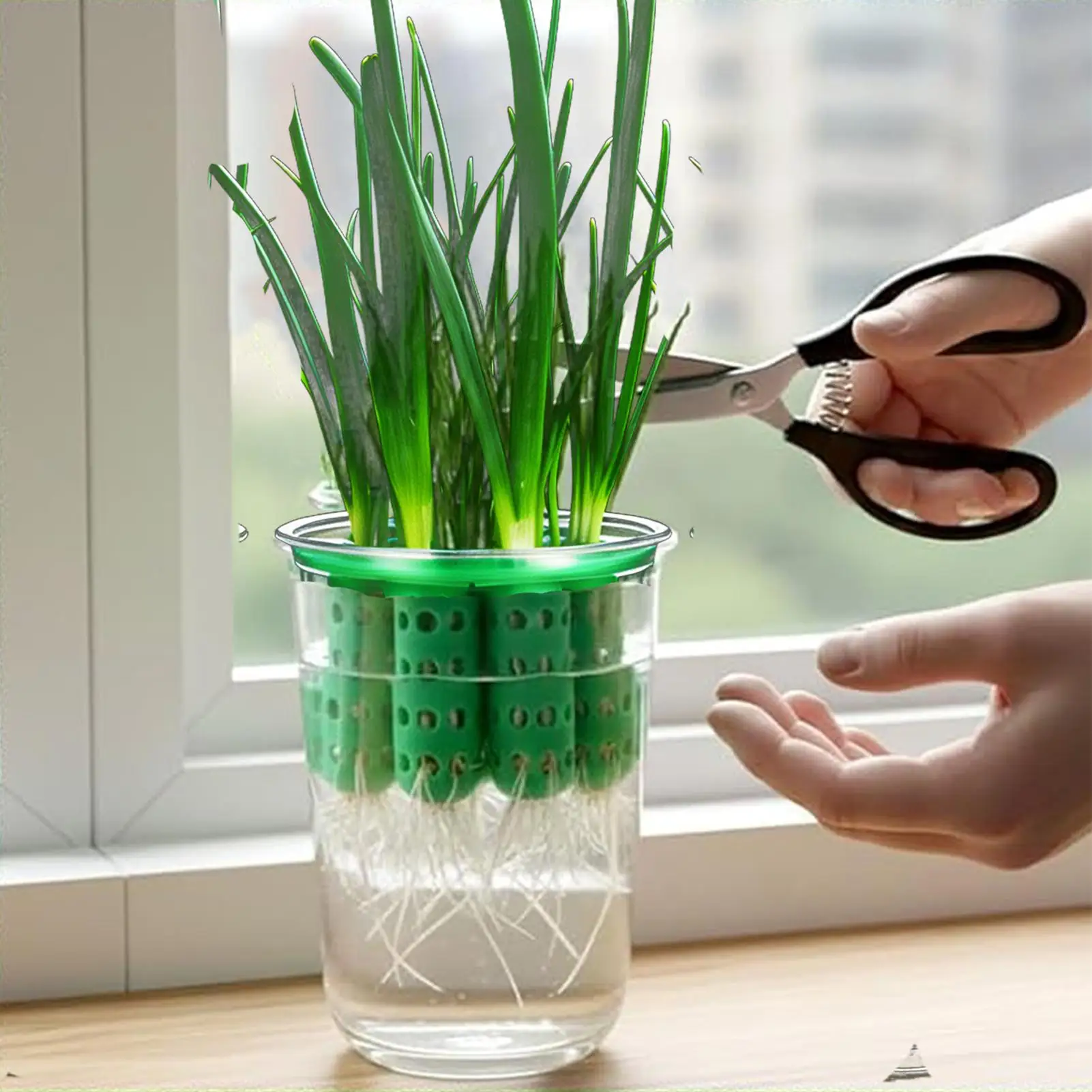 Reusable Hydroponic Green Onion Planter and Seedling Kit