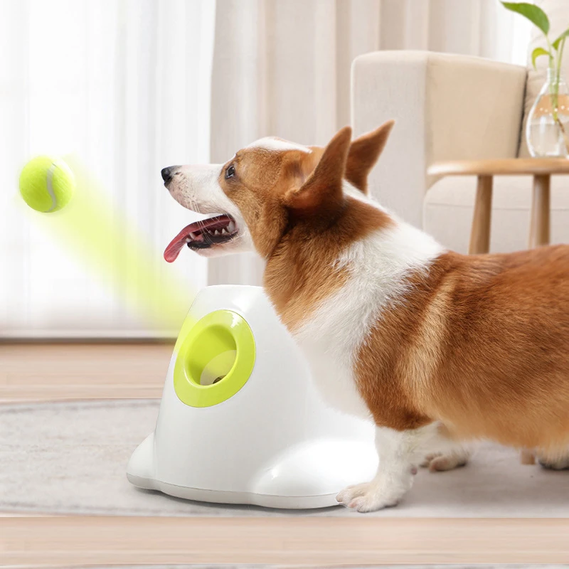 Tennis Launcher Automatic Throwing Machine Dog Pet Toys EttaGadgets