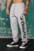 2025 New Gym Gasp Sweet Pants Fitness Exercise Training European Size Loose Pure Cotton Casual Sports Fleece Pants for Men 2