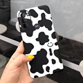 Case-c06