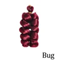 Bug