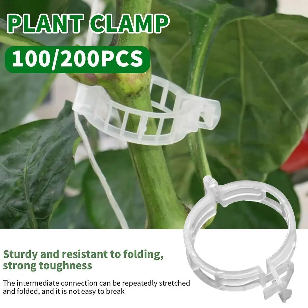 

200/100pcs Plastic Plant Support Clips Reusable Garden Vegetables Tomato Upright Clips Grow Support Vine Stalks Plant L4I5