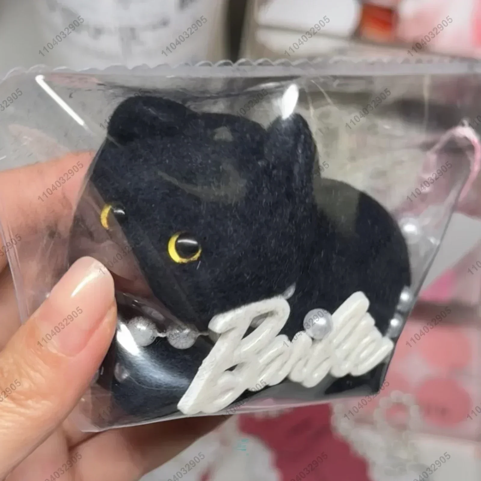 Black cat