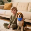 Cooling Bandana for Dogs Cat Super Absorbent Ice Towel Collar Adjustable Pet Bandana for Summer Outdoor Walk Sleep Reusable 4
