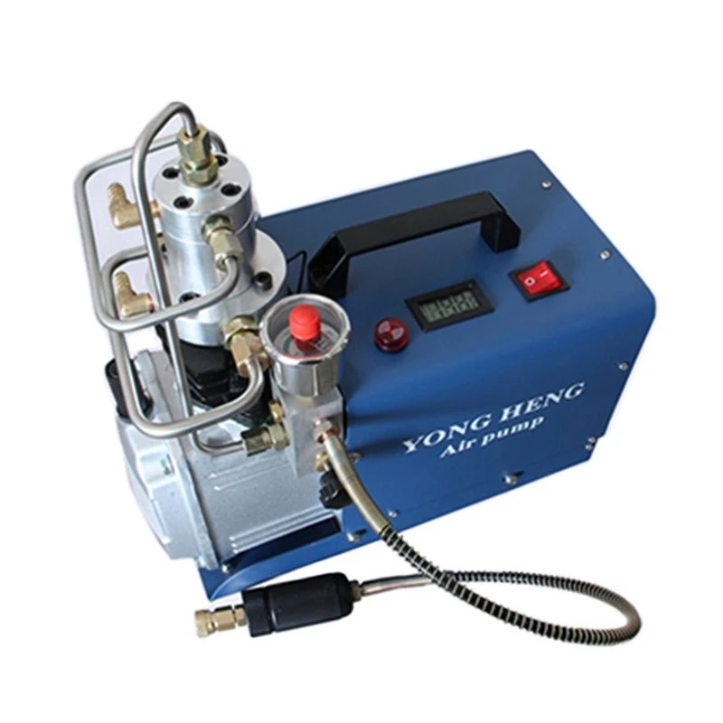 110v/220v 300bar 30mpa 4500psi High 