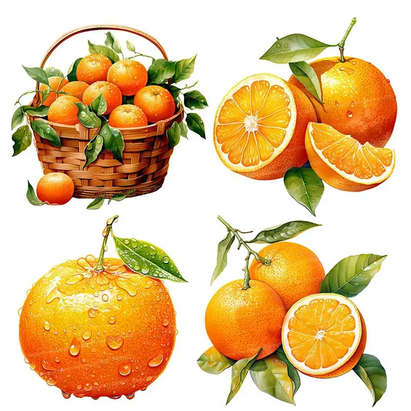 Wall Stickers Self Adhesive Stickers Kitchen Wall Sticker Oil Proof Film Hand-Painted Oranges Fruit Sticker Kitchen Dining Room Refrigerator Waterproof Decal