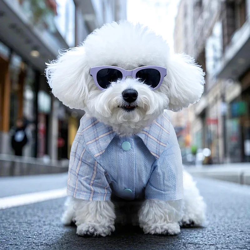 Plaid Cotton Dog Shirt 3
