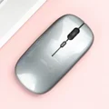 Glossy-Grey