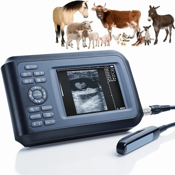 

Portable animal ultrasonic diagnostic instrument handheld sheep pig veterinary ultrasound scanner