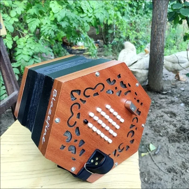 鍵盤楽器 Rebel Technology Logoi Rebel Technology Logoi— Clockface Modular