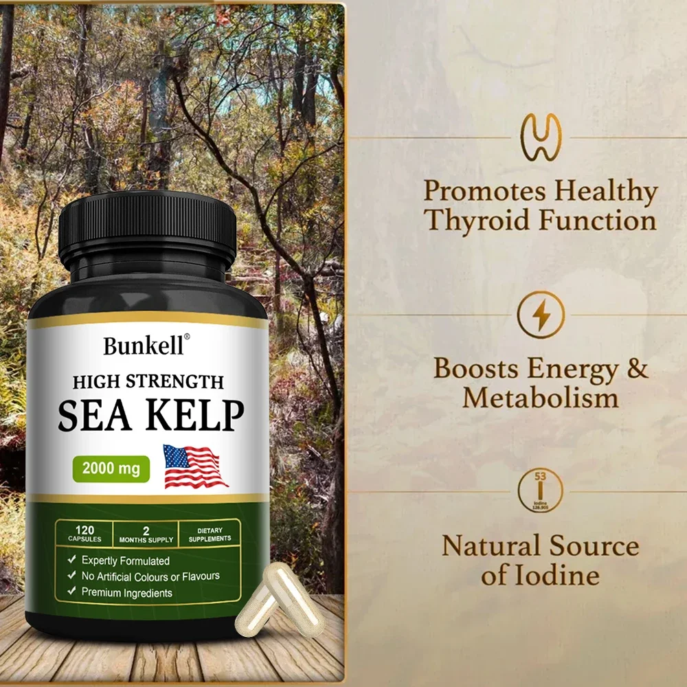 Atlantic Kelp Extract for thyroid support helping with metabolic balance in the body energy support