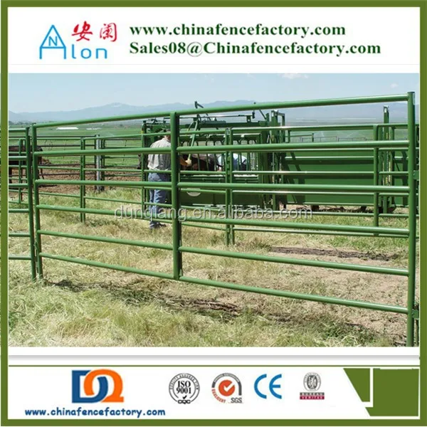 sheep/cattle/buffalo/bull/bovini/cow / paddock fence/farm gates 3