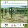 sheep/cattle/buffalo/bull/bovini/cow / paddock fence/farm gates 3