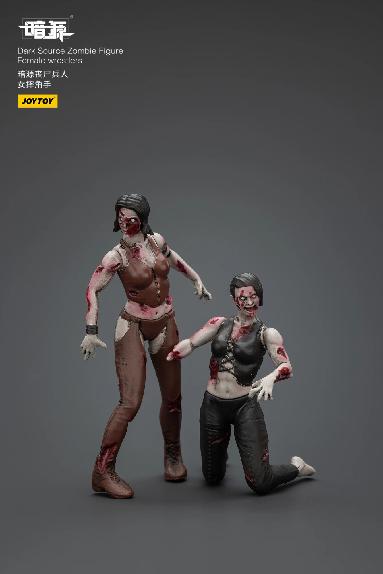 1/25 JOYTOY Figur Dark Source Zombie Figur Anime Spielzeug – Detail 18