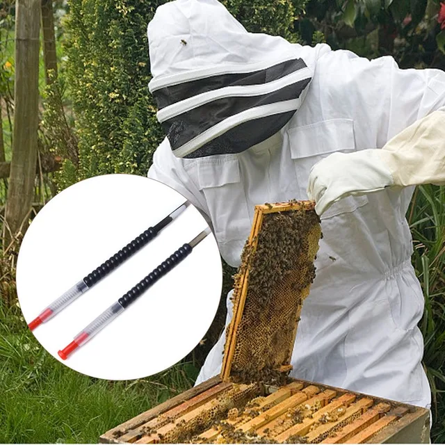 5Db Méhészeti Szerszámok Mozgassa A Tű Méh Lárva Quaeen Mozgó Berendezés Tojás Oltó Szerszám Méhészkészlet - Image 3