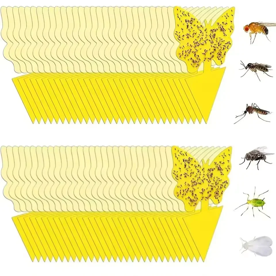 Eliminate Pests Instantly - Sticky Traps for Fungus, Fruit Fly, Mosquito & Bug Control Indoor & Outdoor