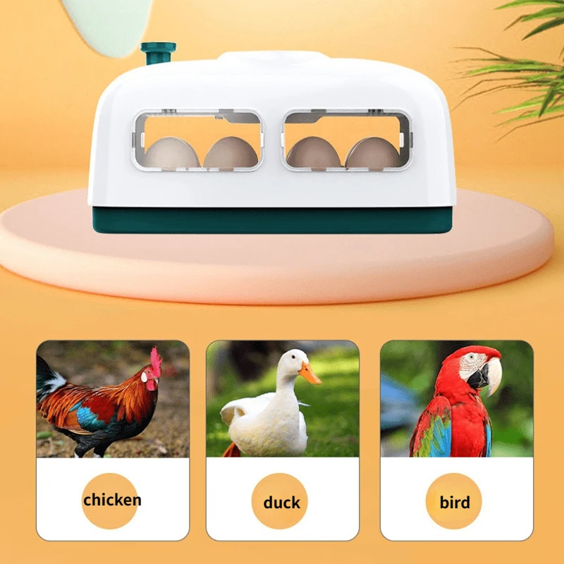 Mini Fully Automatic Egg Incubator Temperature Humidity Display Farm