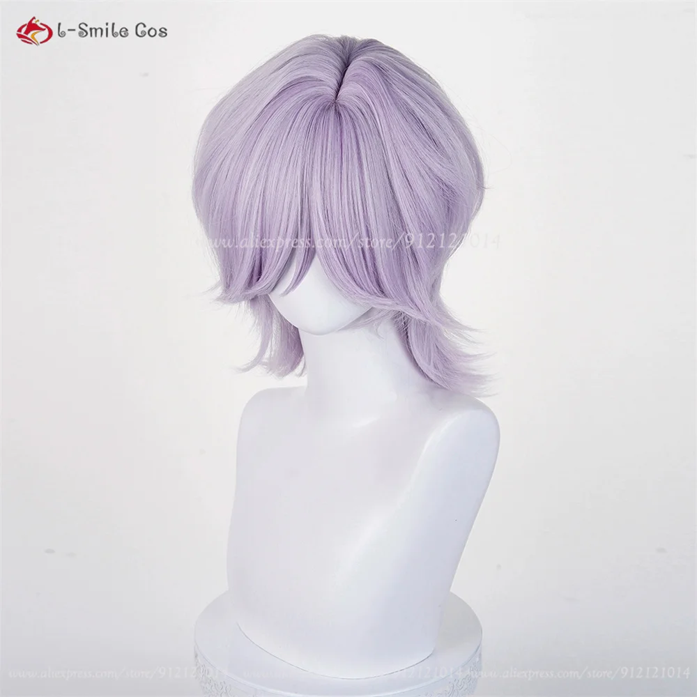 Anime Cosplay Wig Image 37