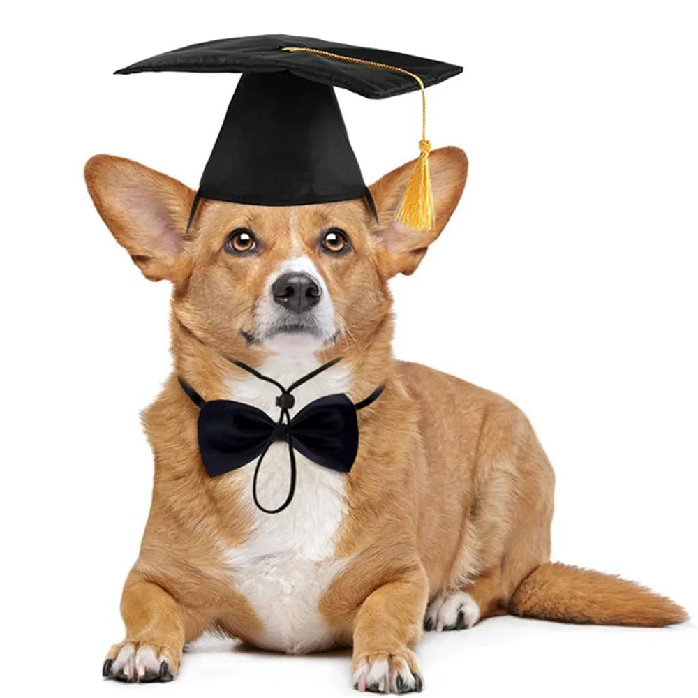 CAISANG Pet Graduation Caps Dog Graduation Hats with India | Ubuy