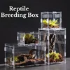 Acrylic Transparent Reptile Terrarium Breeding Box Turtle Cage Nano Arboreal Tarantula Enclosure Dearded Dragon Reptiles Habitat 2
