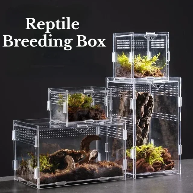 Acrylic Transparent Reptile Terrarium Breeding Box Turtle Cage Nano Arboreal Tarantula Enclosure Dearded Dragon Reptiles Habitat 2