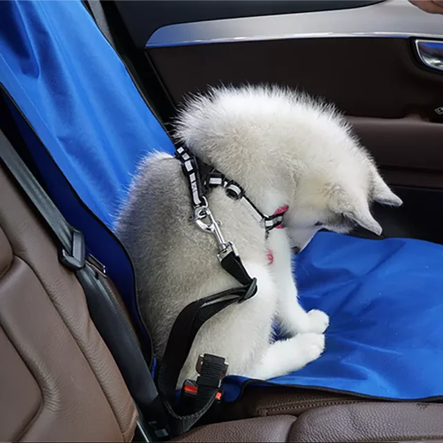 Cojín de viaje para gato y perro, Protector trasero para asiento de coche,  alfombrillas impermeables, suministro para mascotas - AliExpress