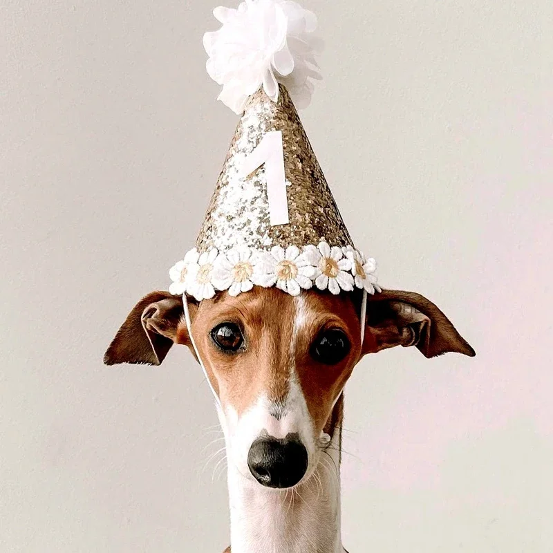 Ins Kids Birthday Party Hat Baby Shower Decor Daisy Theme