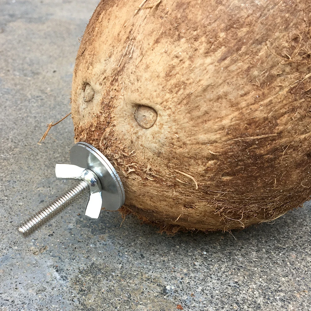 Natural Coconut Hanging Bird House Toy for Cage Parrot Breeding Nest for Gecko Parakeet Lovebird Finch Hamster