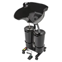 Bassin de shampoing réglable pour Salon de coiffure, avec 2 seaux, réservoir de shampoing amovible Portable, outils de coiffure 4