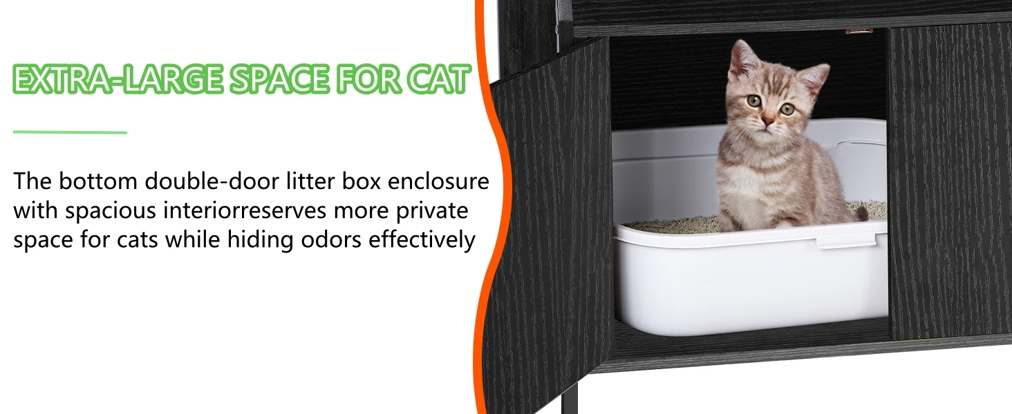 EXTRA-LARGE SPACE FOR CAT