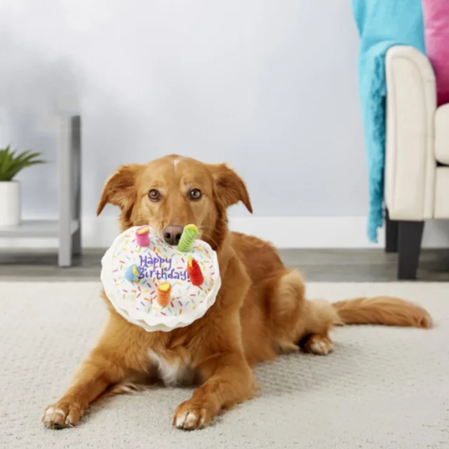 Dog Birthday Cake Toy Soft Plush Squeaky with Colourful Candles Durable Funny Stuffed Chew for Large Breeds Birthday Gift scarf 5