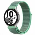 Spearmint 31