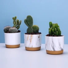 New fine Marble vein Double-layer Self Watering Flowerpot Automatic Storage Succulent Planter Pot Small Green Plant Flowerpot