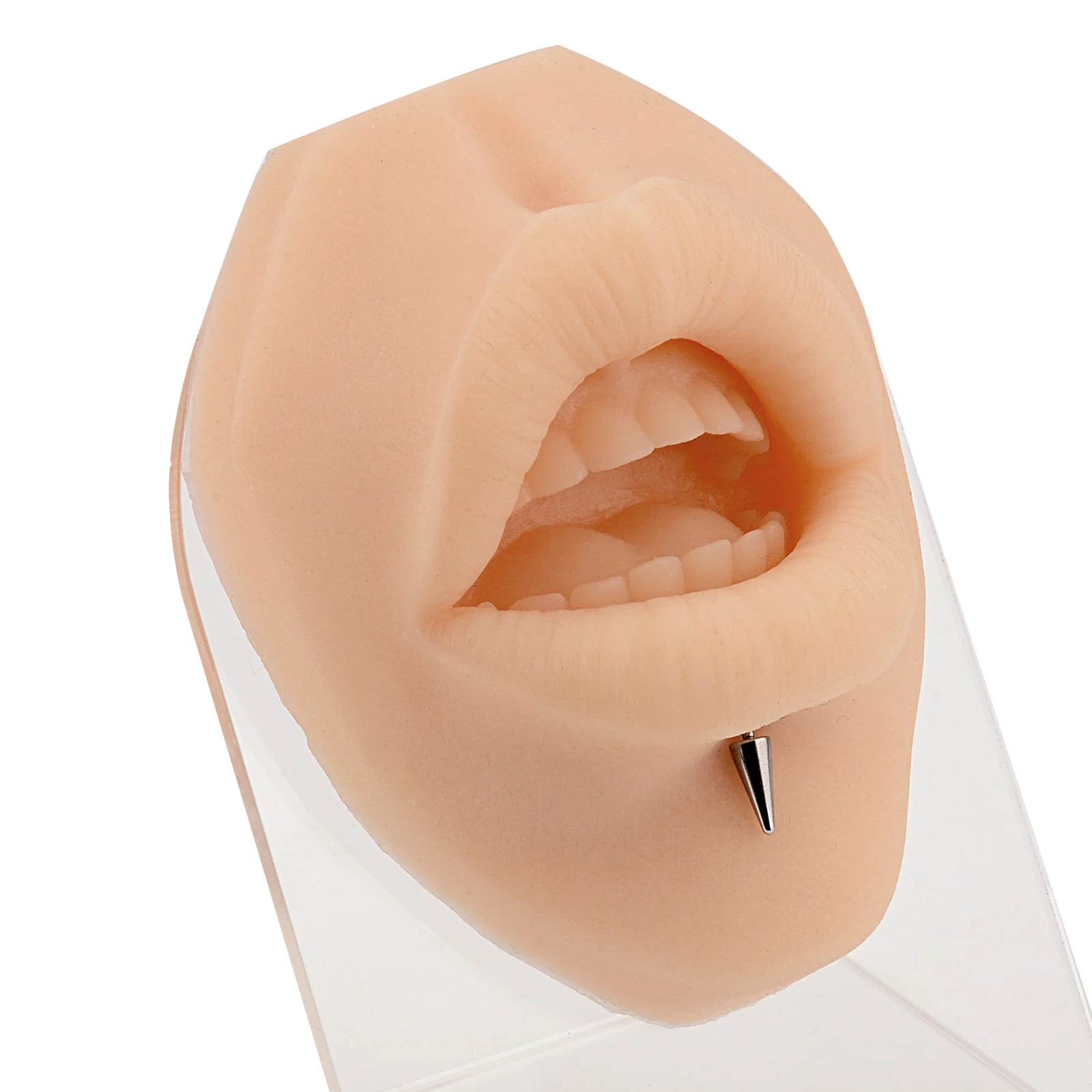 Simulate mouth model perforation, puncture, suture practice, mouth model, lip nail, nail display model