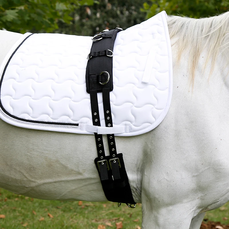 High Quality Horse Riding Equipment Horse Stable Equipment Sale