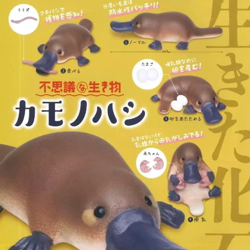

Original Japan Capsule Toys Kawaii Miniature Gashapon Figure Anime Figurine Cute Inconceivable Creature Platypus Models Gift