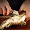Fast Shrimp Sheller Fish Scales Peeler 6 In 1 Fish Double-headed Shrimp Line Cutter Stainless Steel Fish Cutting Cleaning Tool 5