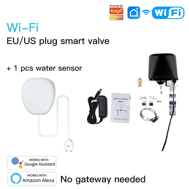 1 Sensor and 1Valve
