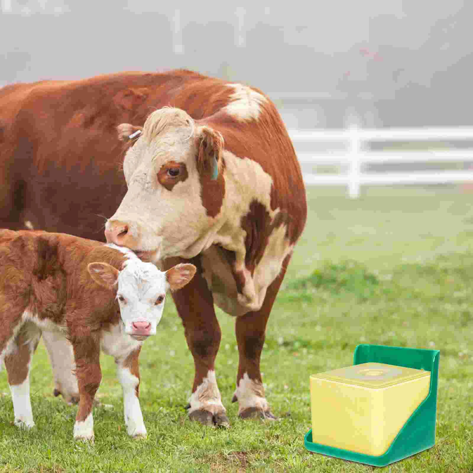 

Cattle and Sheep Licking Block Box Tray with Salt Bricks Chicken Feeder Bowl Feeding Mineral Rack for Cow Livestock Accessory