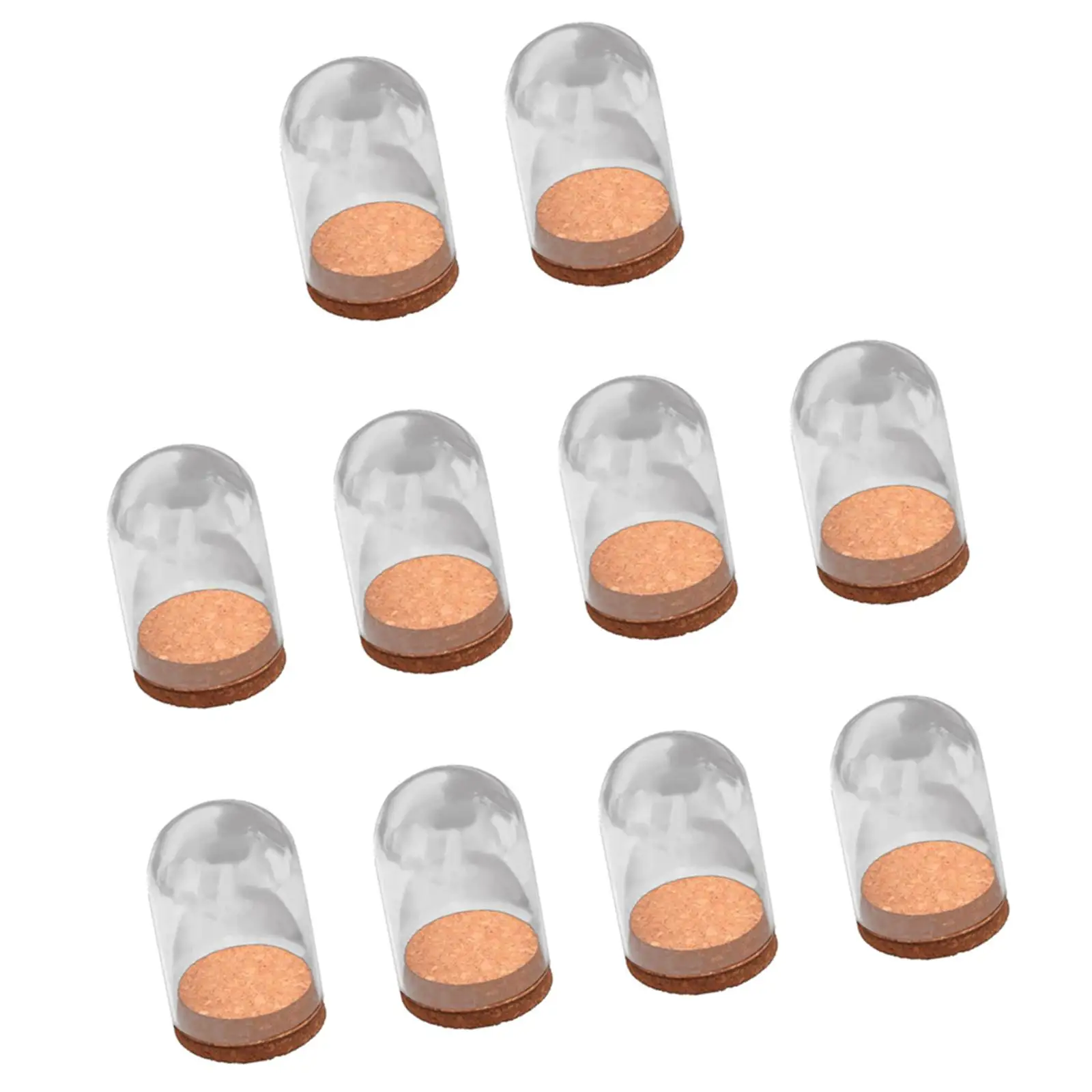 10x Clear Display Dome with Base Collectibles Decor DIY Tabletop Decor Birthday Gift Crafts Glass Cloche Showcase Cover