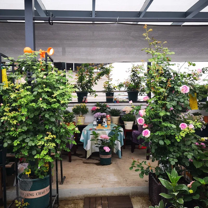 55 ~ 99% Schattierung Aluminium folie Sonnenschutz Netz Garten Sonnenschutz Segel Sichtschutz Zaun Mesh Garagen Markisen pflanzen Sonnenschutz – Detail 19