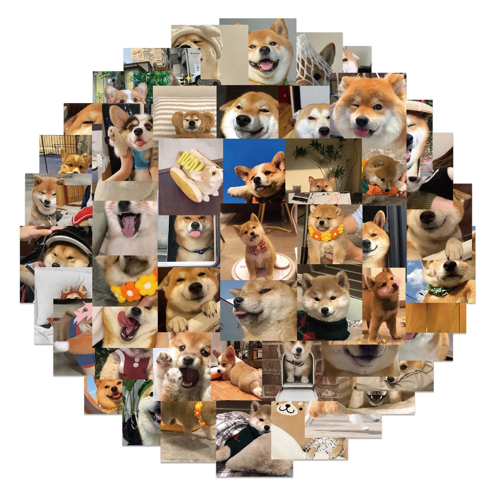 

10/25/55pcs Cartoon Funny Corgi Shiba Meme Stickers for Laptop Motorcycle Skateboard Travel Case Phone