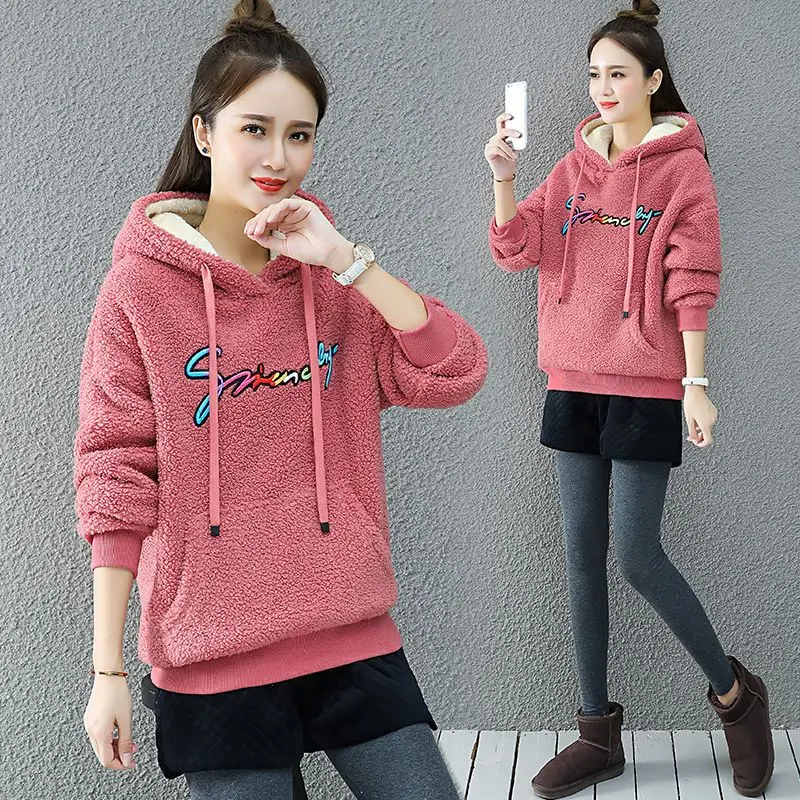 Lamb Wool Warm Hooded Sweater For Women 2023 Autumn/winter New Korean Version Lazy Style Loose Casual Sports Fashion Top